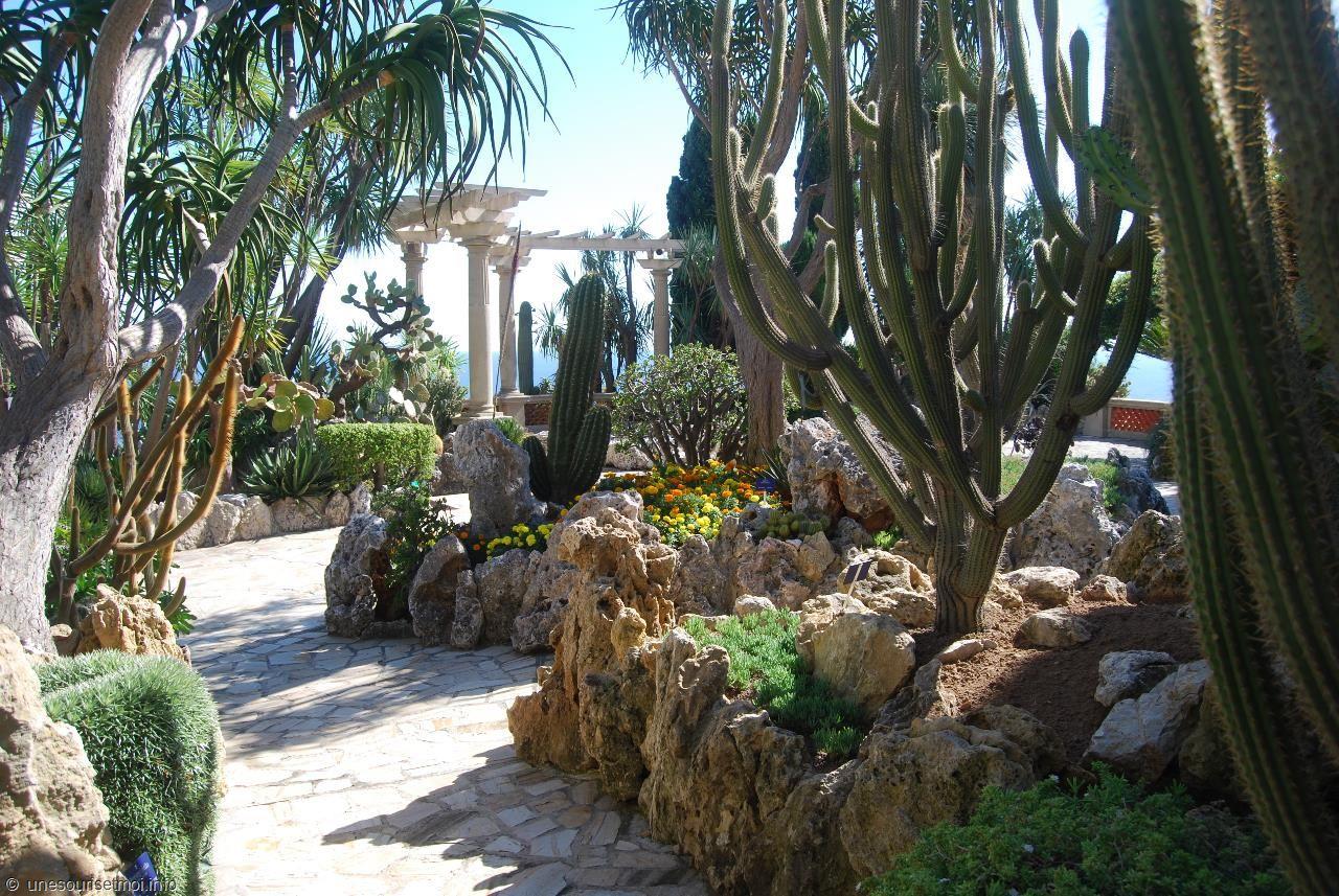 Jardin Botanique de Monaco, le Jardin Exotique.
